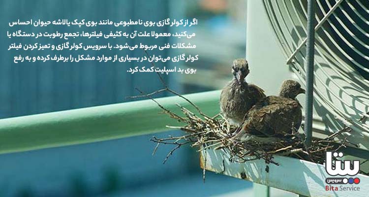 بوی لاشه حیوان و یا زباله کثیف از کولر گازی